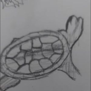 Meet your Posher, Azul